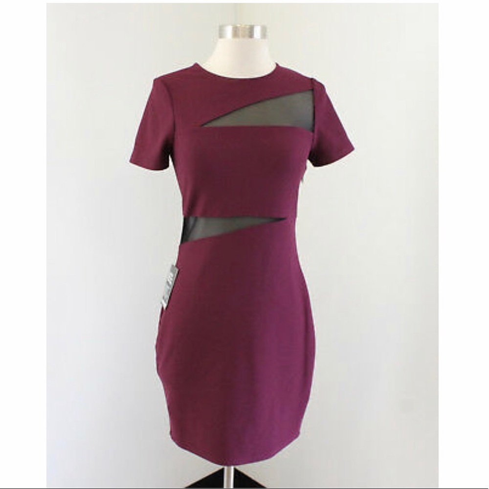 NWT Express Mesh Inset Bodycon Size 8 Dress